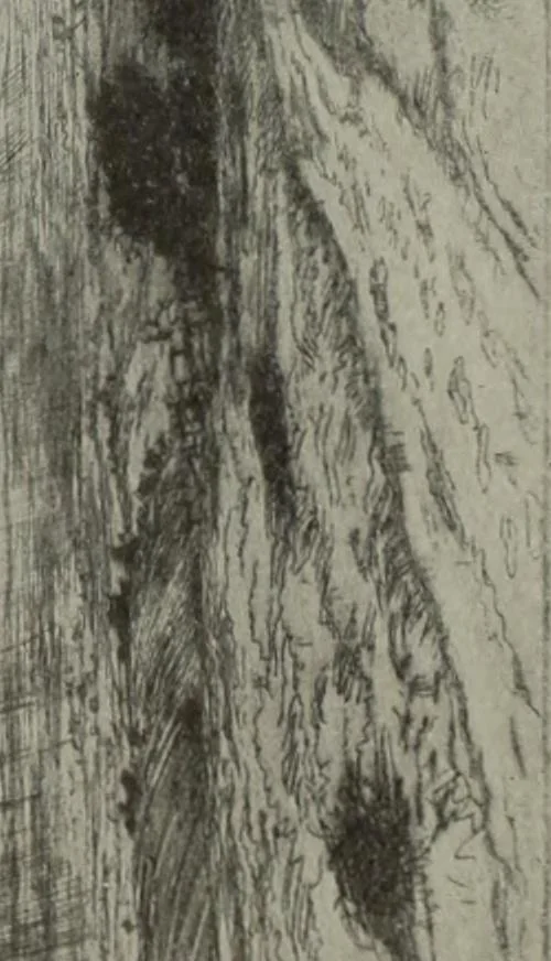 An illustration from International studio, 1897, leaf 273