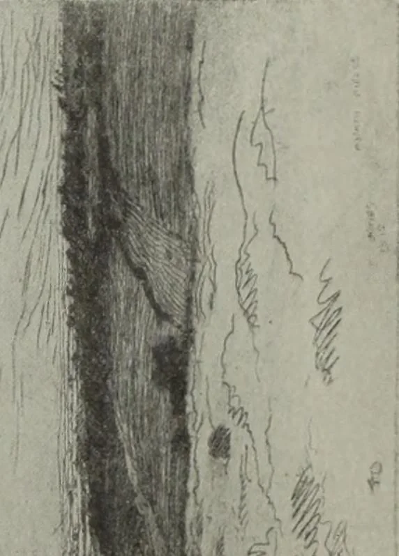 An illustration from International studio, 1897, leaf 273