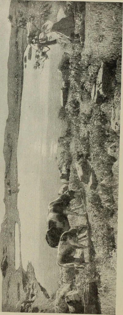 An illustration from International studio, 1897, leaf 419