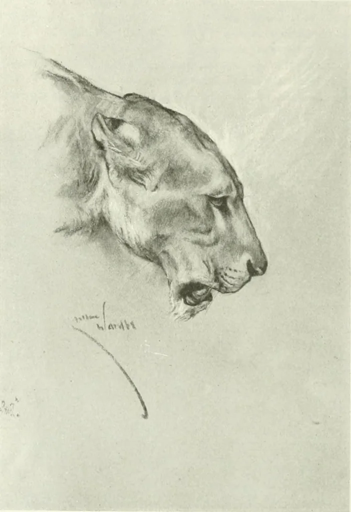 An illustration from International studio, 1897, leaf 113