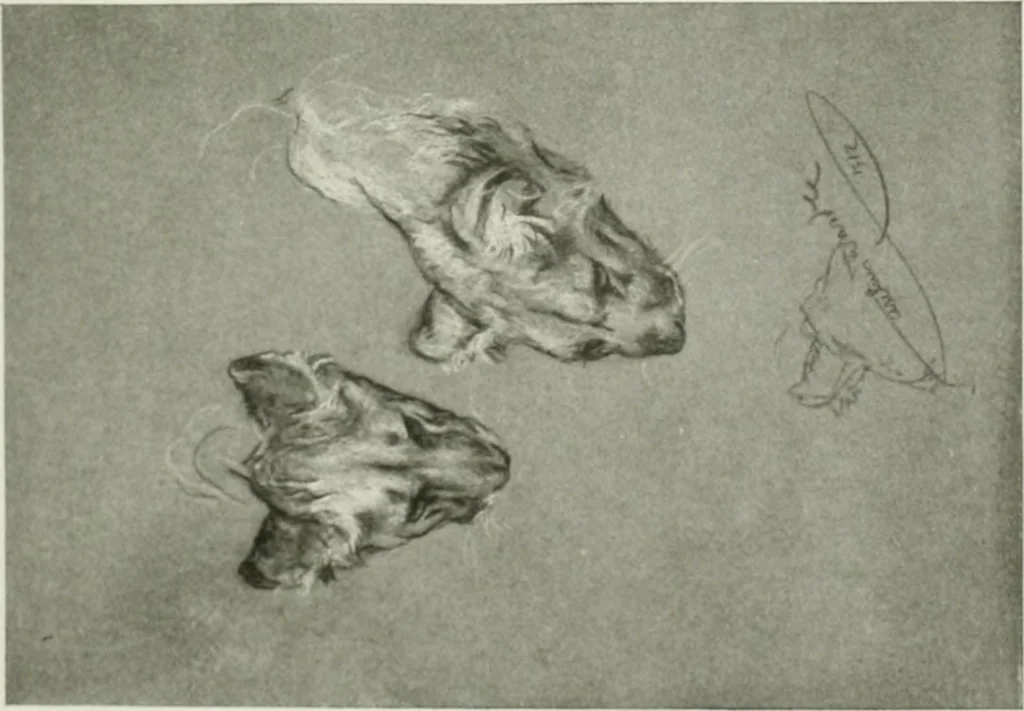 An illustration from International studio, 1897, leaf 116