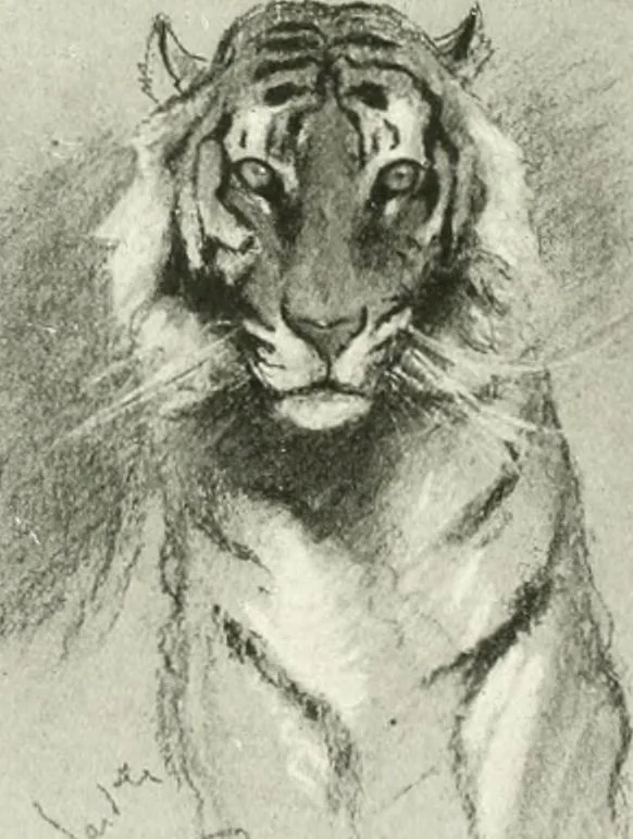 An illustration from International studio, 1897, leaf 117