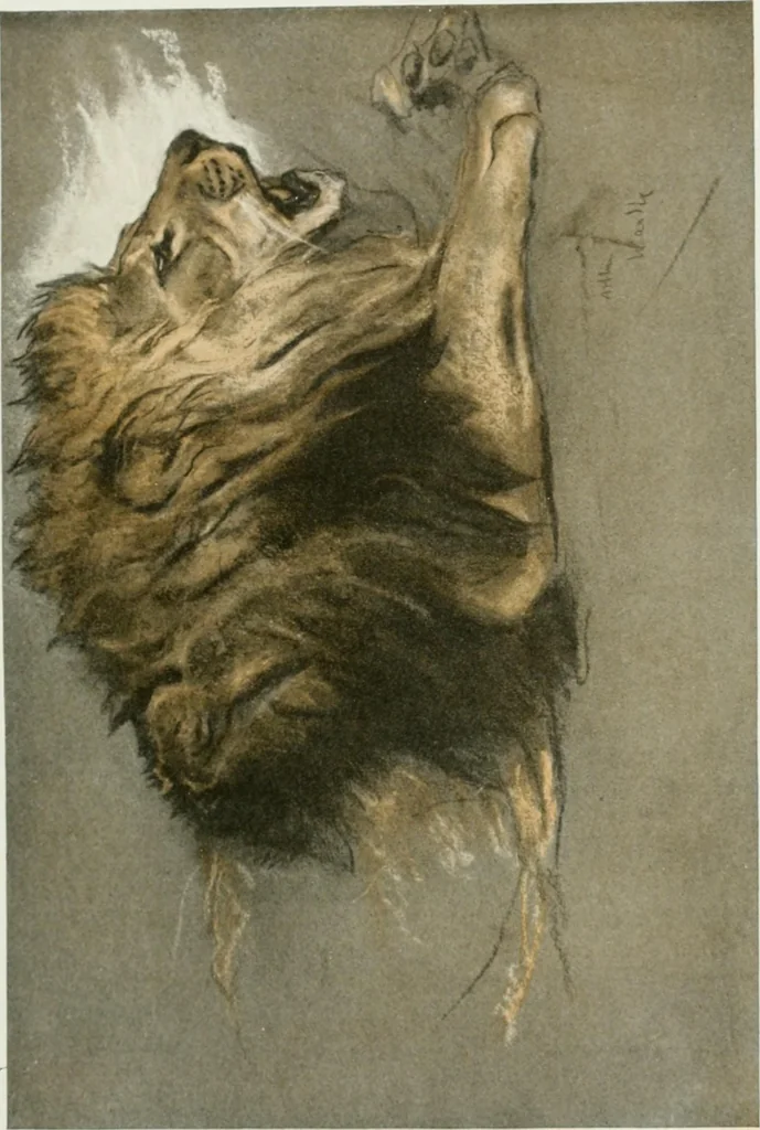 An illustration from International studio, 1897, leaf 118