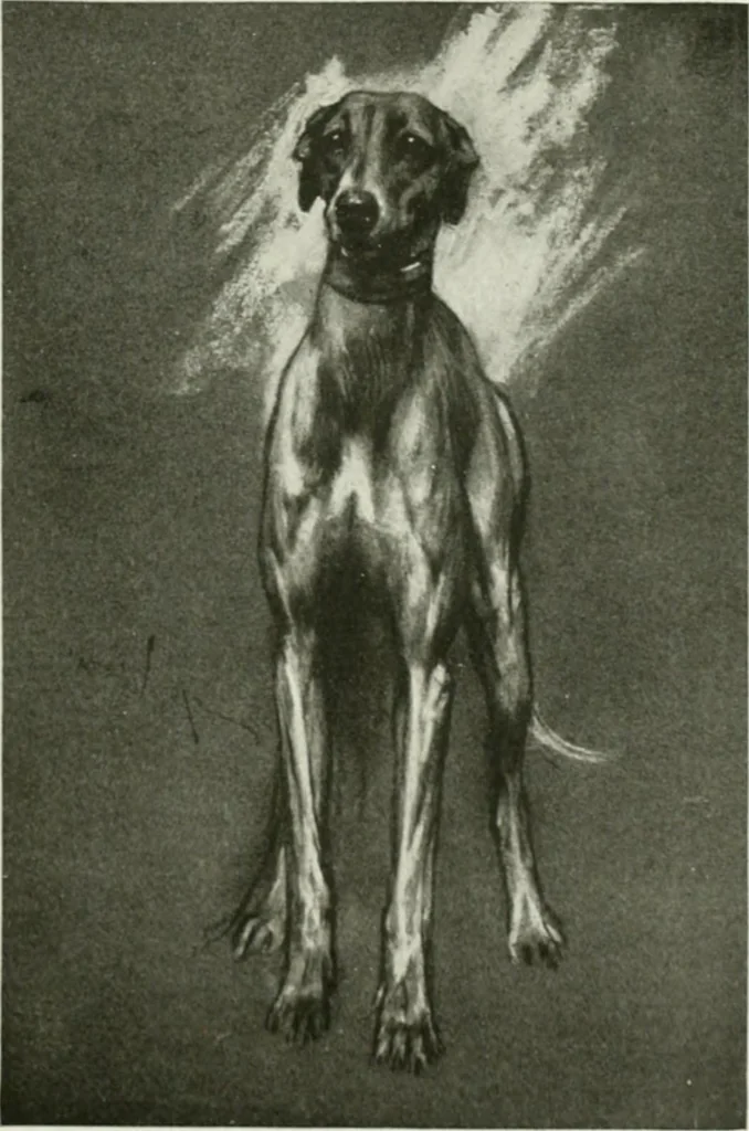 An illustration from International studio, 1897, leaf 122