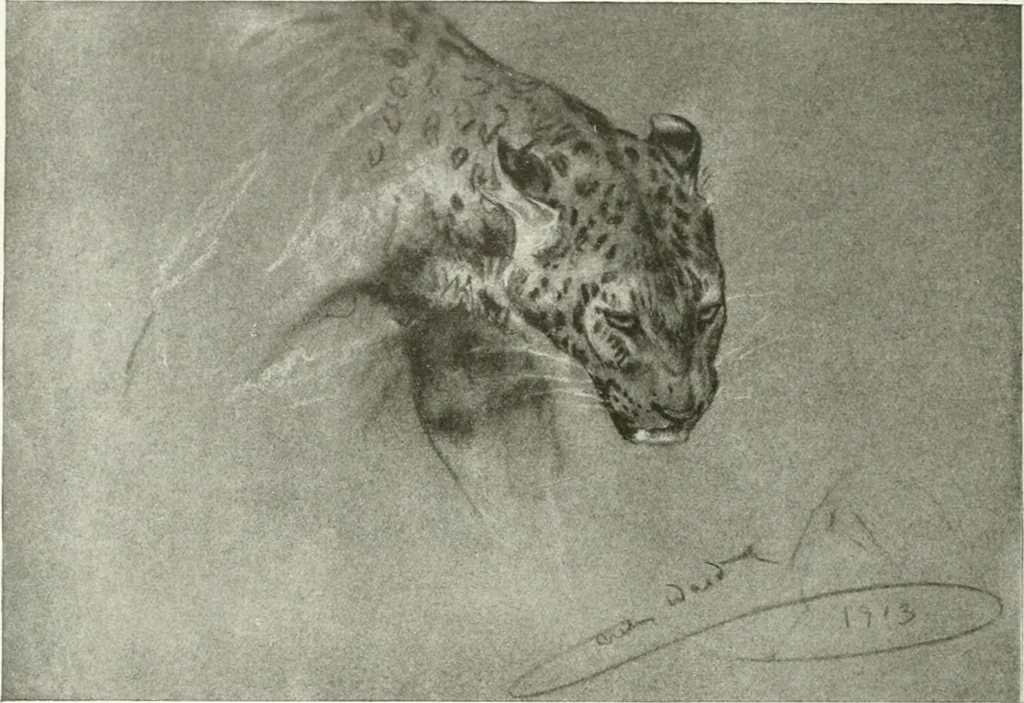 An illustration from International studio, 1897, leaf 123