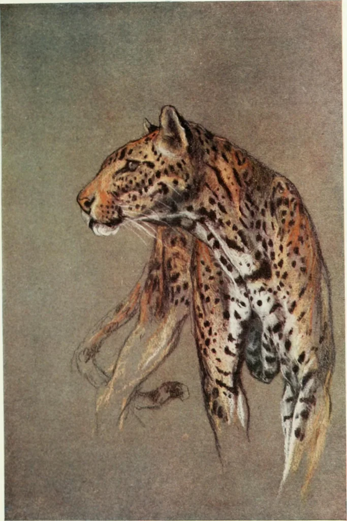 An illustration from International studio, 1897, leaf 124