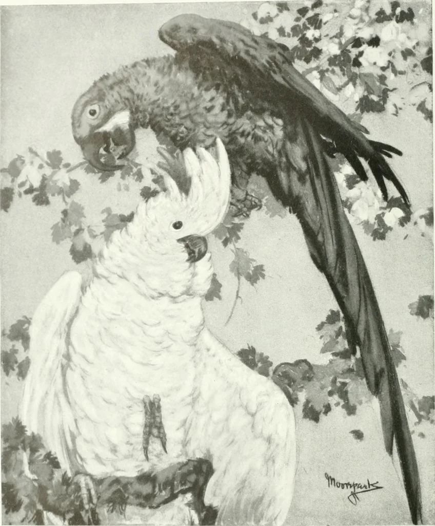 An illustration from International studio, 1897, leaf 21