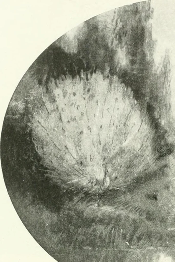 An illustration from International studio, 1897, leaf 241