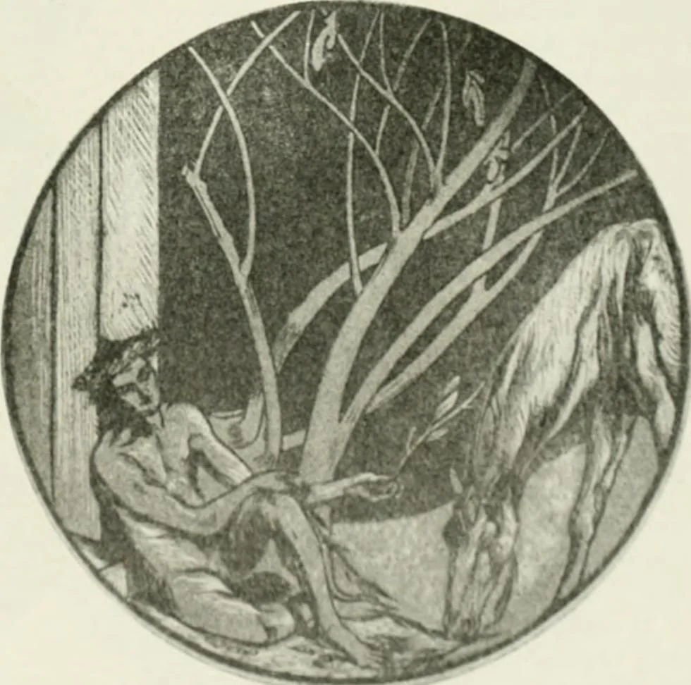 An illustration from International studio, 1897, leaf 312