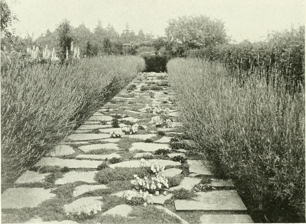 An illustration from International studio, 1897, leaf 329