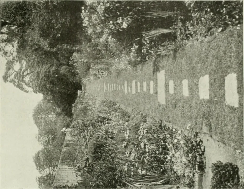 An illustration from International studio, 1897, leaf 332