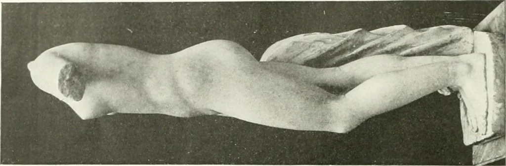 An illustration from International studio, 1897, leaf 343