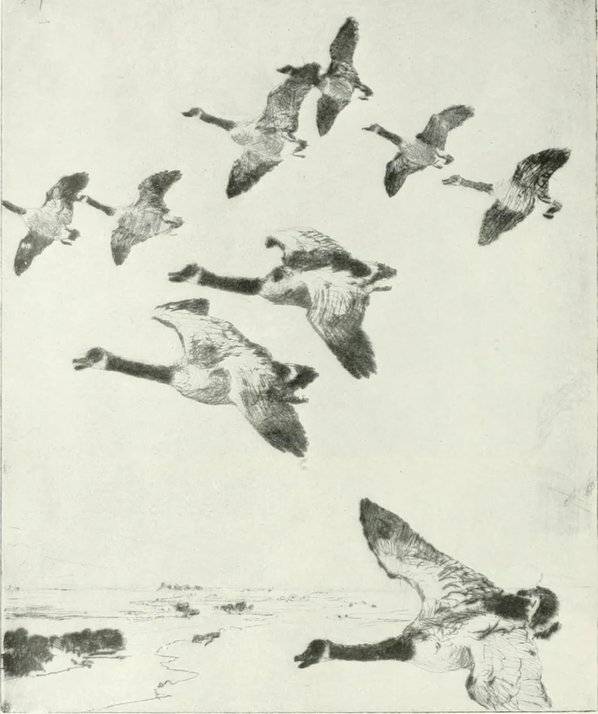 An illustration from International studio, 1897, leaf 133
