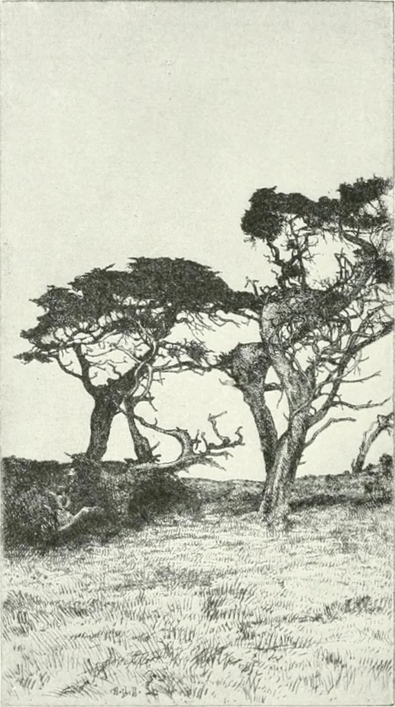 An illustration from International studio, 1897, leaf 135