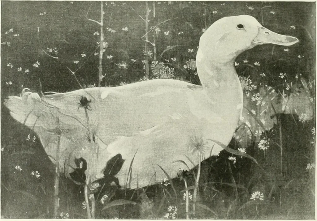 An illustration from International studio, 1897, leaf 161