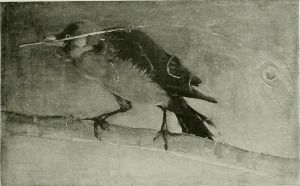An illustration from International studio, 1897, leaf 162