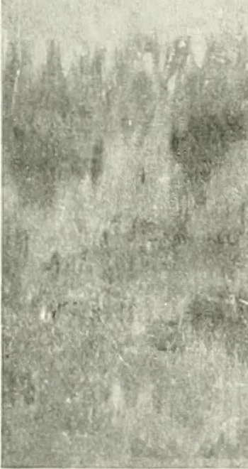 An illustration from International studio, 1897, leaf 165