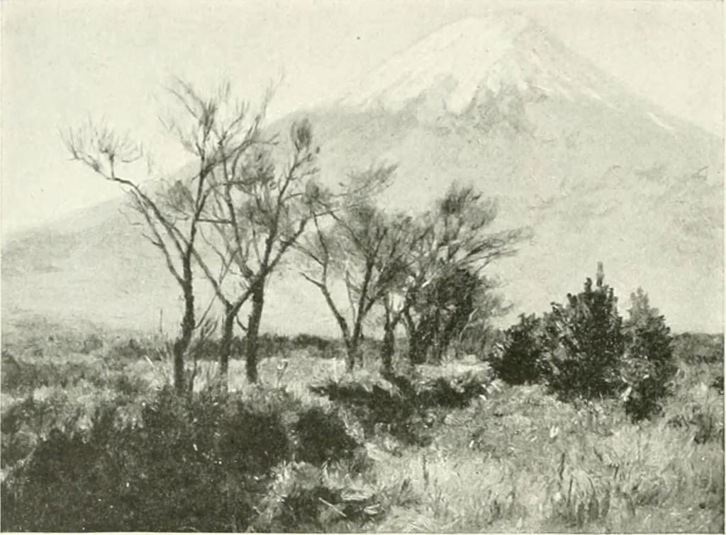 An illustration from International studio, 1897, leaf 197