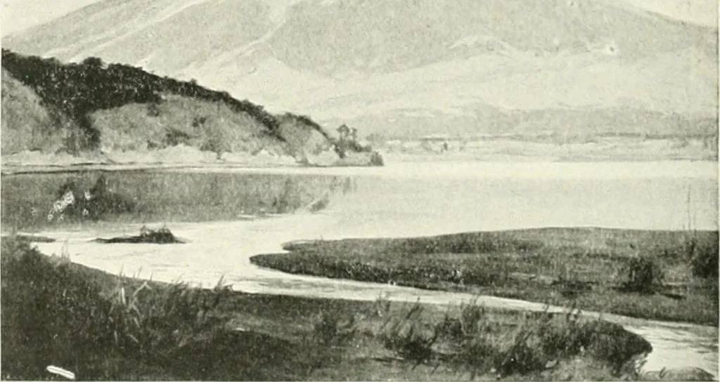 An illustration from International studio, 1897, leaf 197