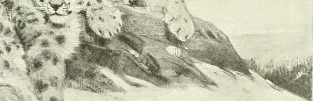 An illustration from International studio, 1897, leaf 239