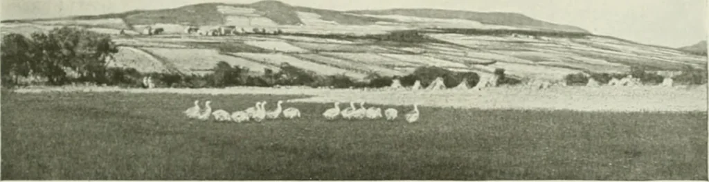 An illustration from International studio, 1897, leaf 242