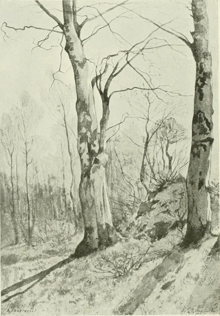 An illustration from International studio, 1897, leaf 275