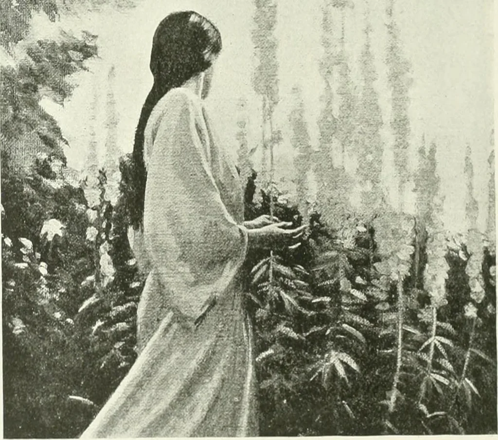 An illustration from International studio, 1897, leaf 285