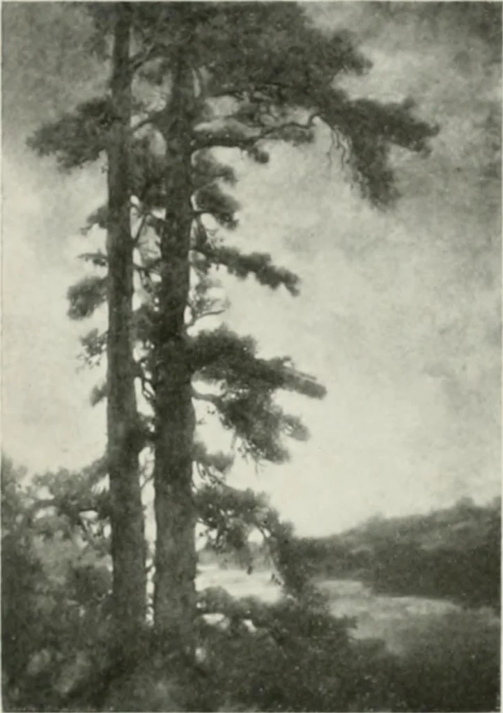 An illustration from International studio, 1897, leaf 68