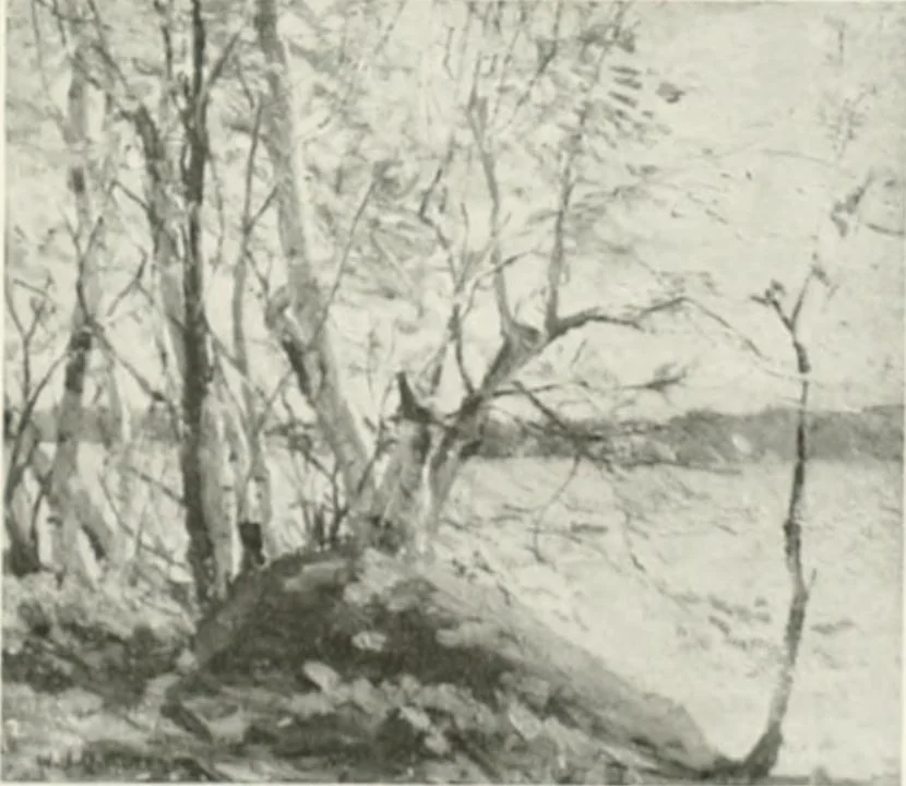 An illustration from International studio, 1897, leaf 74