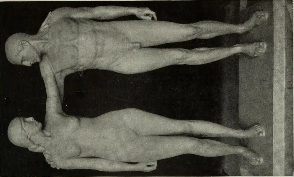 An illustration from International studio, 1897, leaf 18