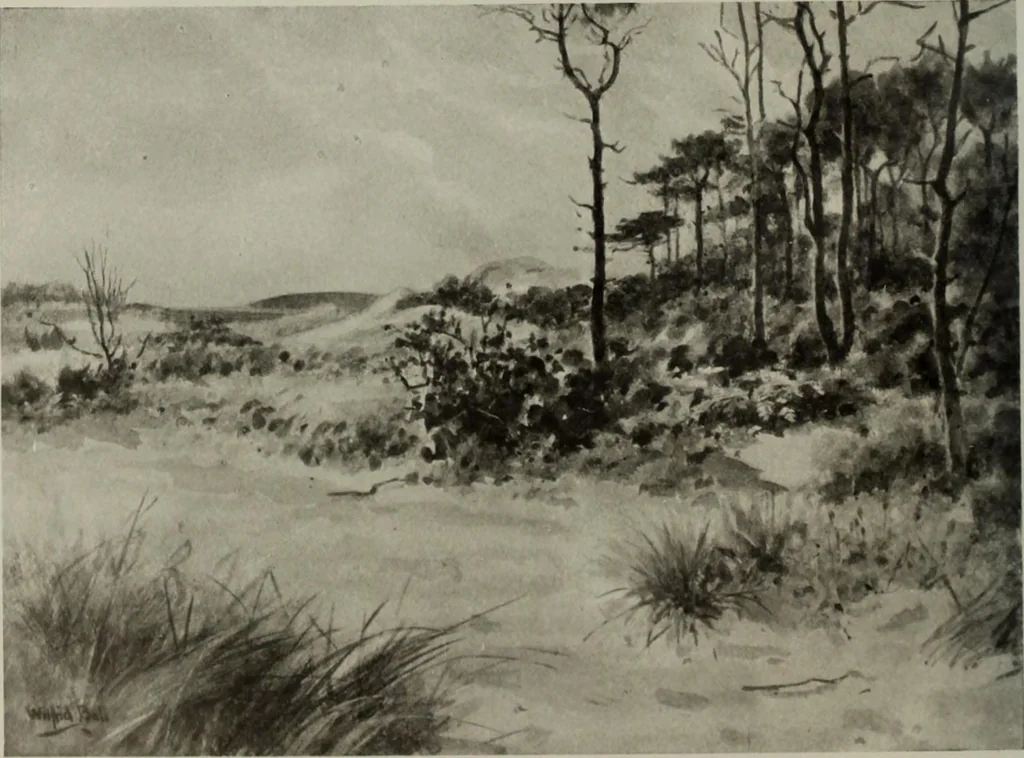 An illustration from International studio, 1897, leaf 297