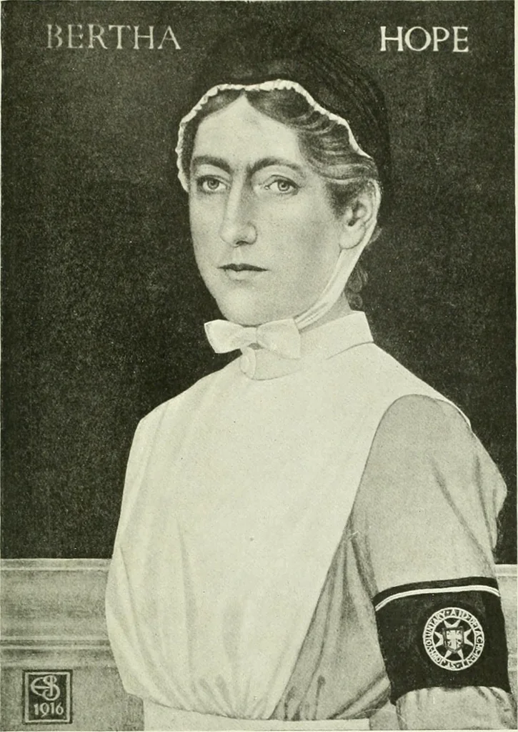 An illustration from International studio, 1897, leaf 156