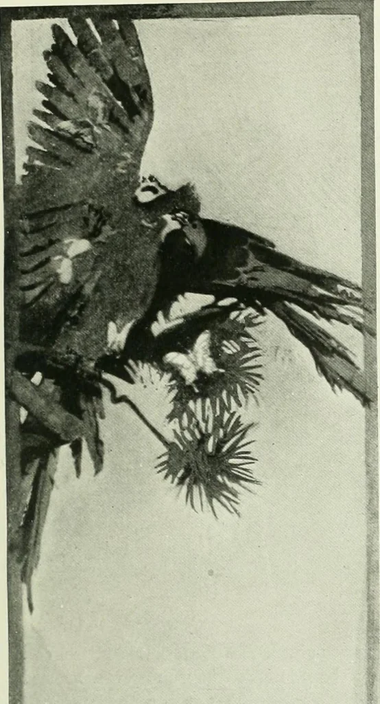 An illustration from International studio, 1897, leaf 26