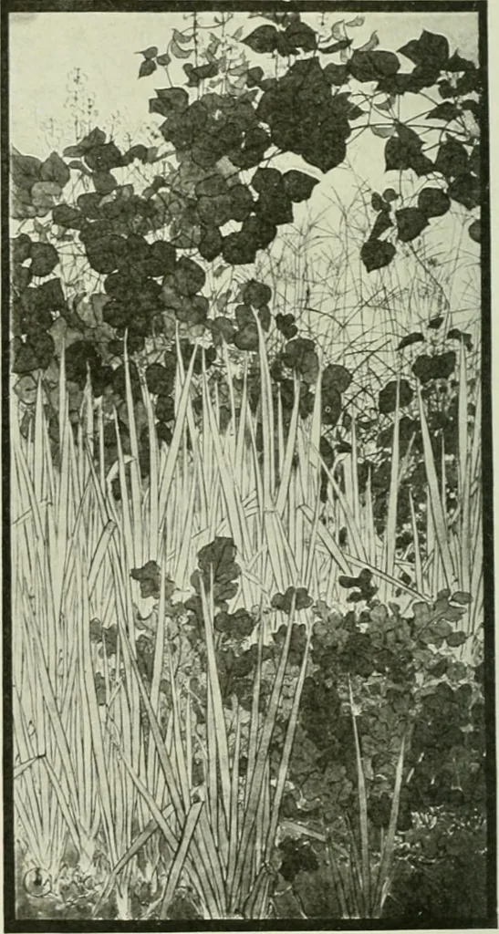 An illustration from International studio, 1897, leaf 265