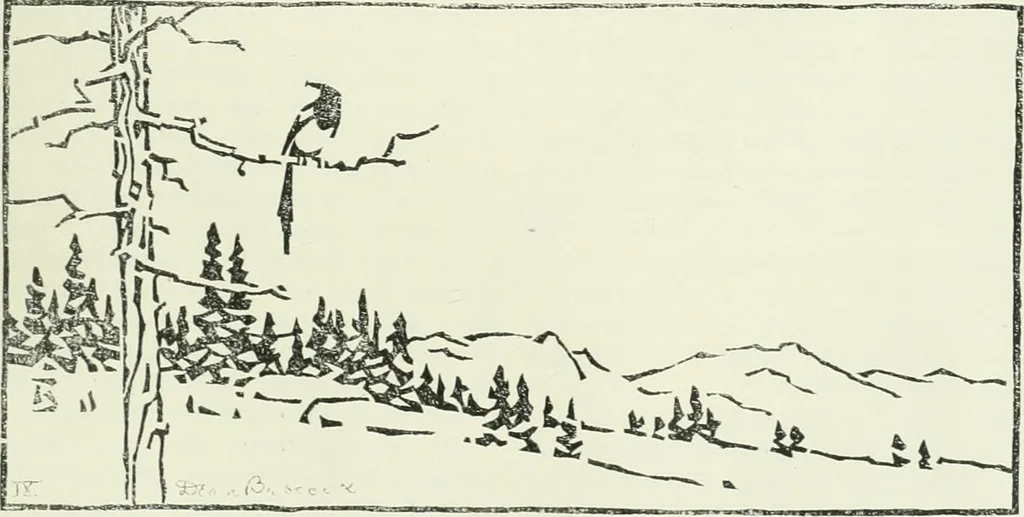 An illustration from International studio, 1897, leaf 30