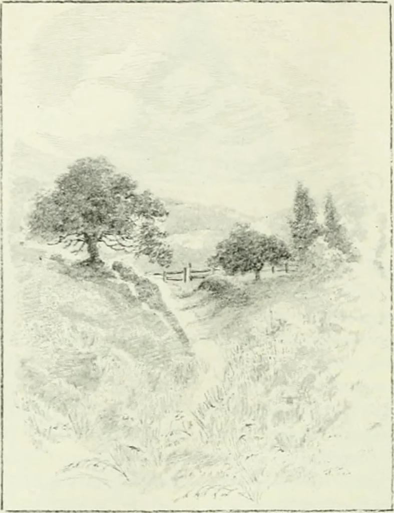 An illustration from International studio, 1897, leaf 55