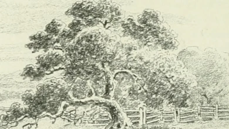 An illustration from International studio, 1897, leaf 55