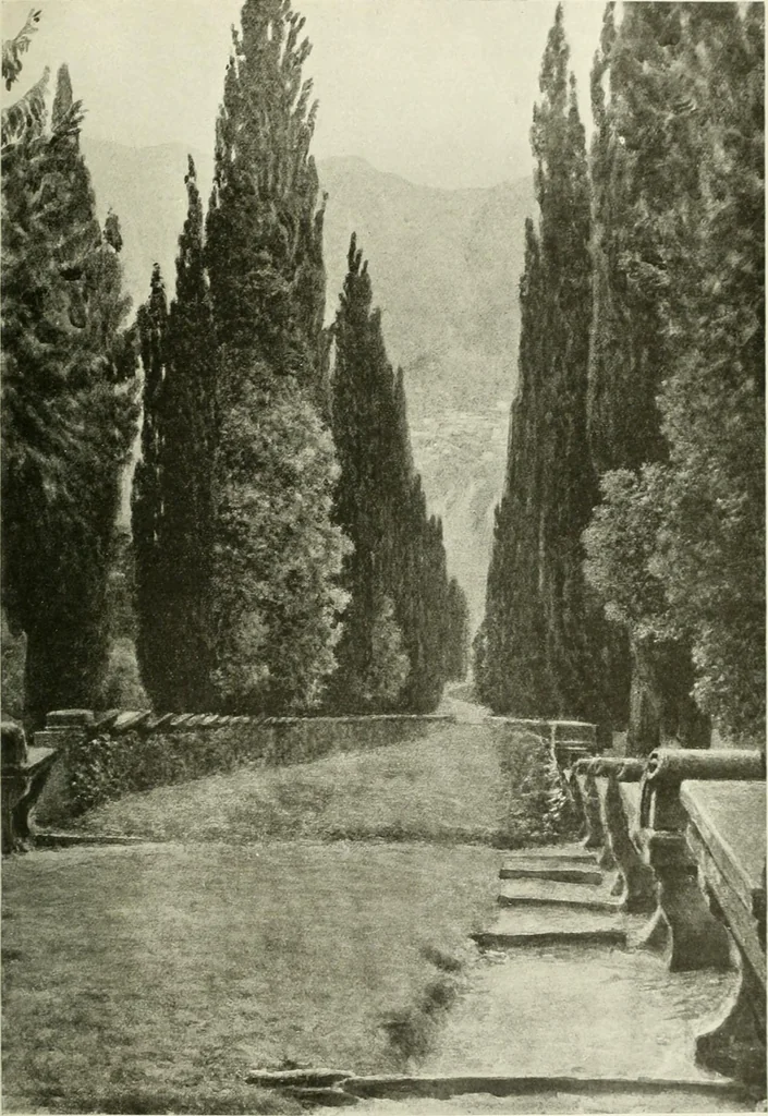 An illustration from International studio, 1897, leaf 104