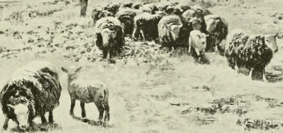 An illustration from International studio, 1897, leaf 126