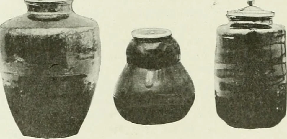 An illustration from International studio, 1897, leaf 175