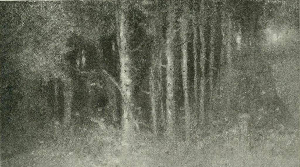An illustration from International studio, 1897, leaf 240