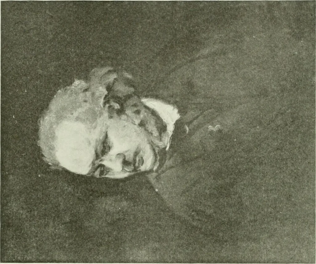 An illustration from International studio, 1897, leaf 69