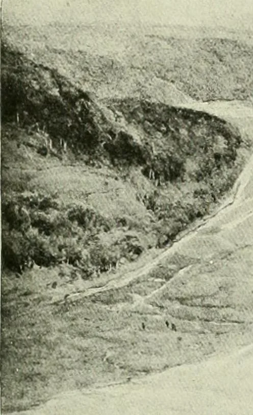 An illustration from International studio, 1897, leaf 126