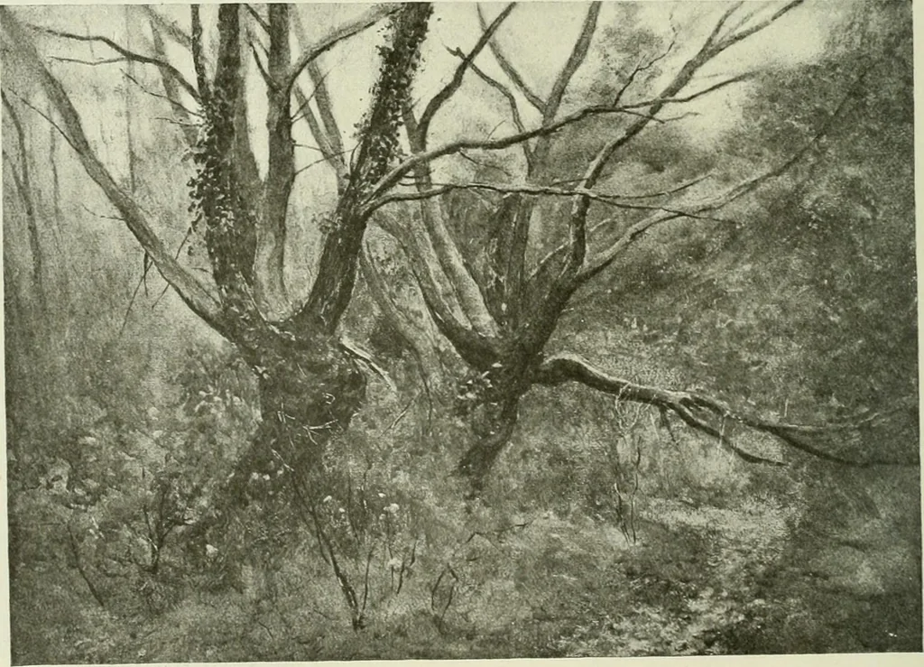 An illustration from International studio, 1897, leaf 127
