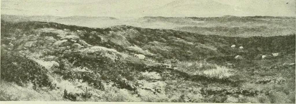 An illustration from International studio, 1897, leaf 135