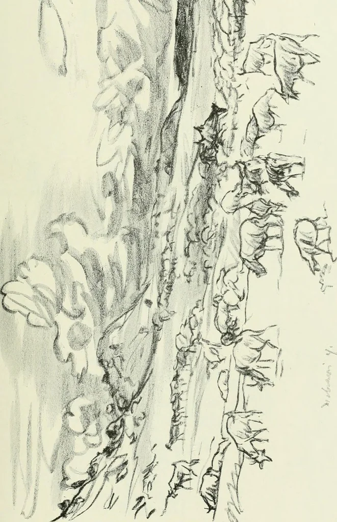 An illustration from International studio, 1897, leaf 206