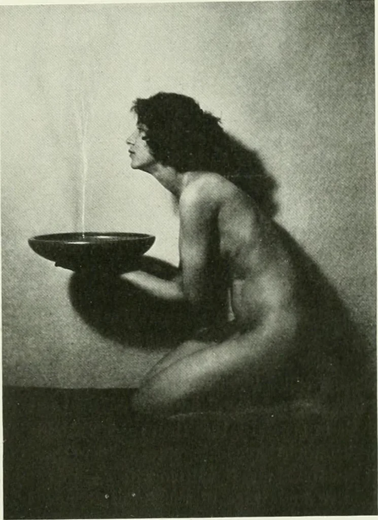 An illustration from International studio, 1897, leaf 244