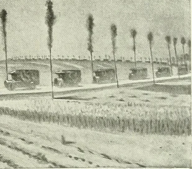 An illustration from International studio, 1897, leaf 40