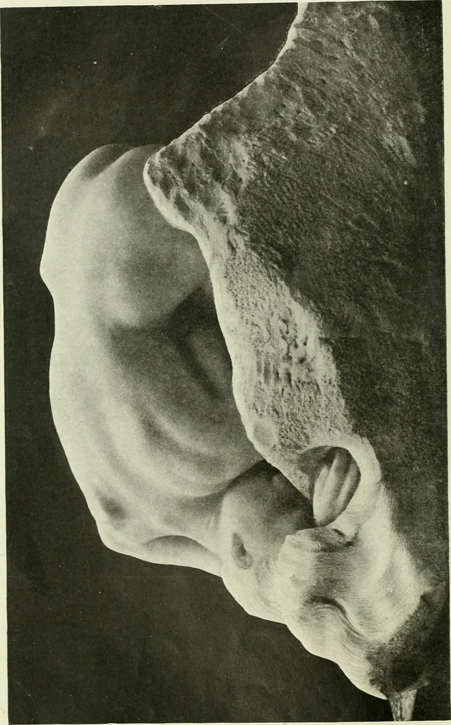 An illustration from International studio, 1897, leaf 71