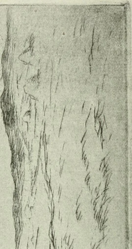 An illustration from International studio, 1897, leaf 155
